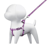 Correa pequena para perro on pehera fiero